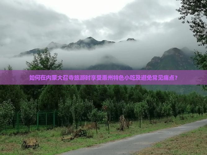 如何在内蒙大召寺旅游时享受惠州特色小吃及避免常见痛点？