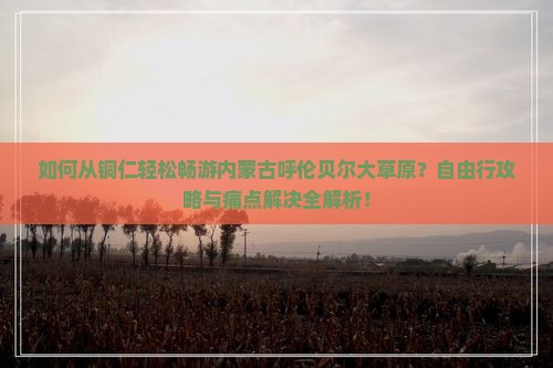 如何从铜仁轻松畅游内蒙古呼伦贝尔大草原？自由行攻略与痛点解决全解析！
