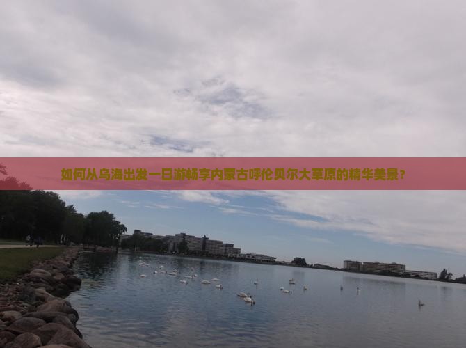 如何从乌海出发一日游畅享内蒙古呼伦贝尔大草原的精华美景？