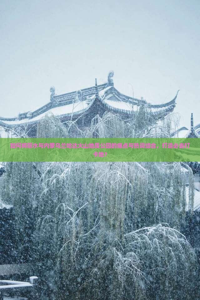 如何将丽水与内蒙乌兰哈达火山地质公园的痛点与热词结合，打造必去打卡地？