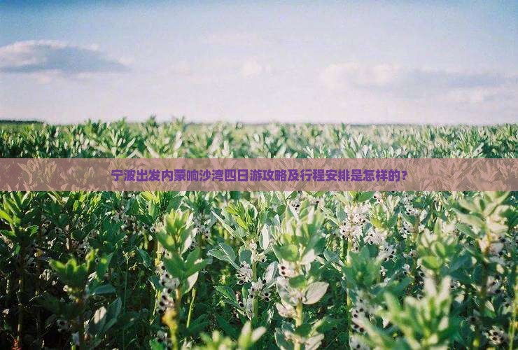 宁波出发内蒙响沙湾四日游攻略及行程安排是怎样的？
