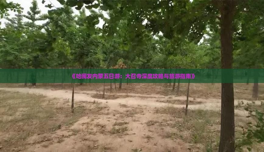 《哈闽发内蒙五日游：大召寺深度攻略与旅游指南》