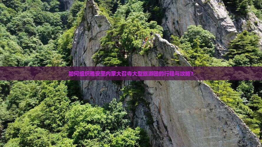 如何组织雅安至内蒙大召寺大型旅游团的行程与攻略？