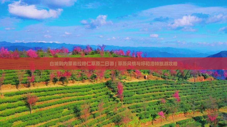 白城到内蒙希拉穆仁草原二日游 | 草原风情与呼和浩特旅游攻略