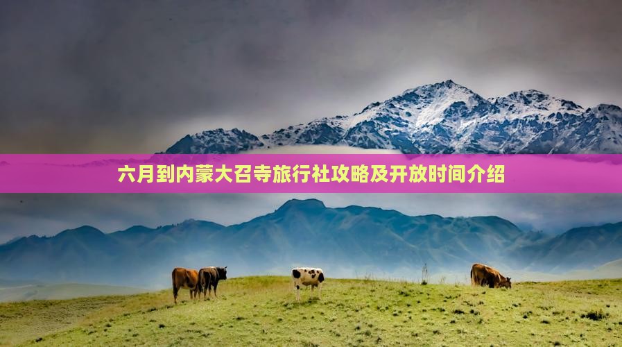 六月到内蒙大召寺旅行社攻略及开放时间介绍
