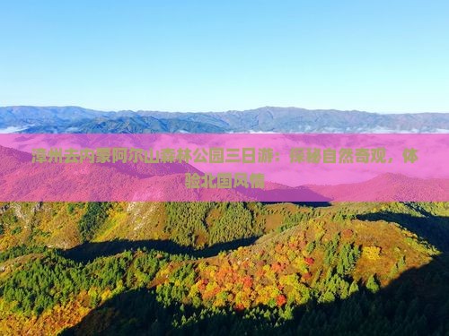 漳州去内蒙阿尔山森林公园三日游：探秘自然奇观，体验北国风情