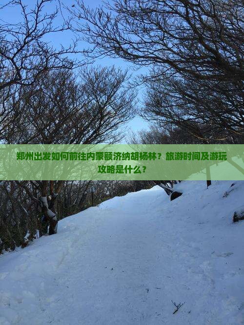 郑州出发如何前往内蒙额济纳胡杨林？旅游时间及游玩攻略是什么？