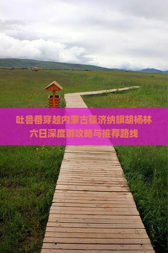 吐鲁番穿越内蒙古额济纳旗胡杨林六日深度游攻略与推荐路线