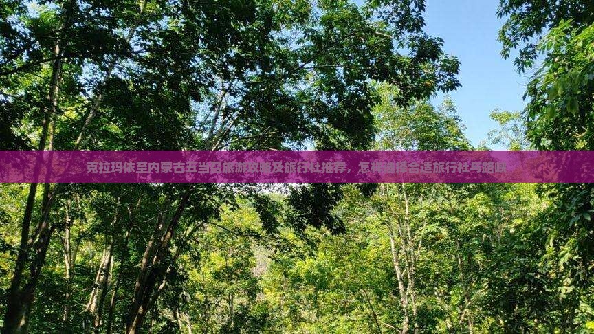 克拉玛依至内蒙古五当召旅游攻略及旅行社推荐，怎样选择合适旅行社与路峡