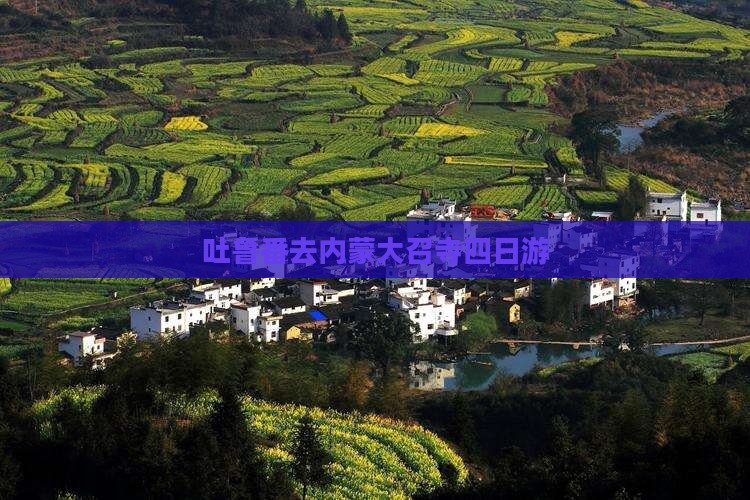吐鲁番去内蒙大召寺四日游