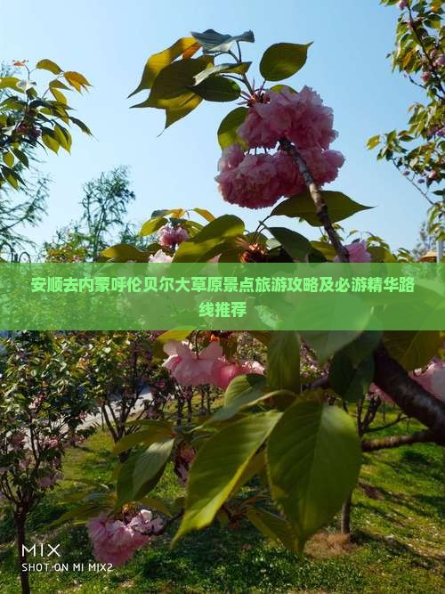 安顺去内蒙呼伦贝尔大草原景点旅游攻略及必游精华路线推荐