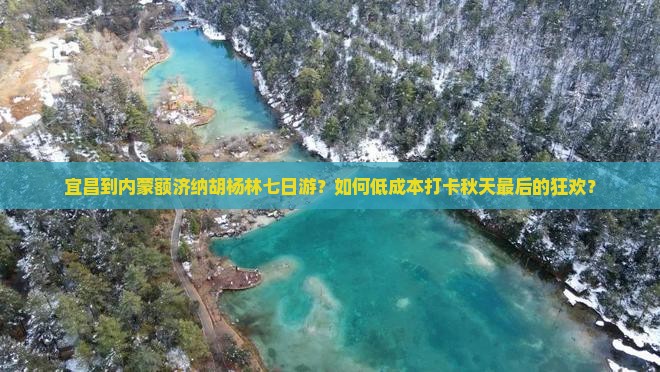 宜昌到内蒙额济纳胡杨林七日游？如何低成本打卡秋天最后的狂欢？