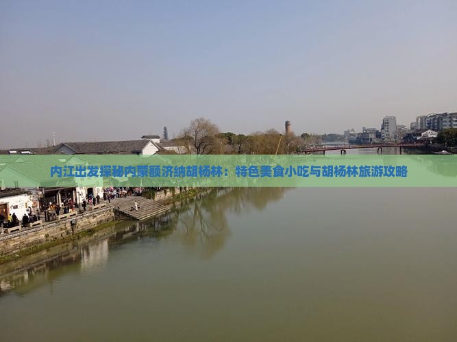 内江出发探秘内蒙额济纳胡杨林：特色美食小吃与胡杨林旅游攻略