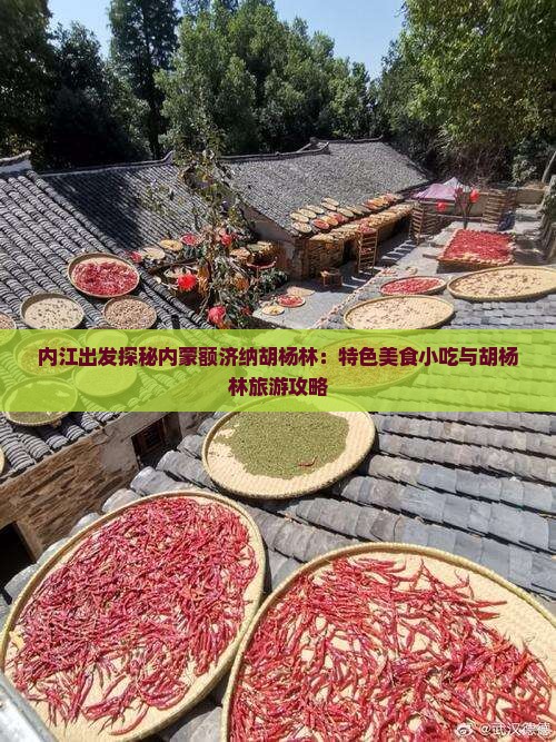 内江出发探秘内蒙额济纳胡杨林：特色美食小吃与胡杨林旅游攻略