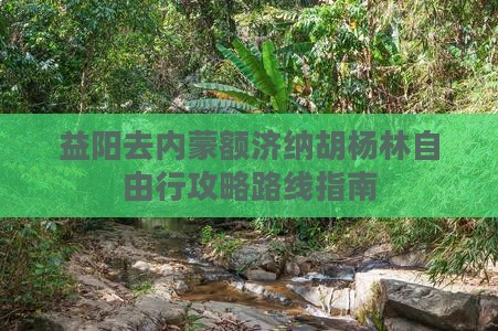益阳去内蒙额济纳胡杨林自由行攻略路线指南