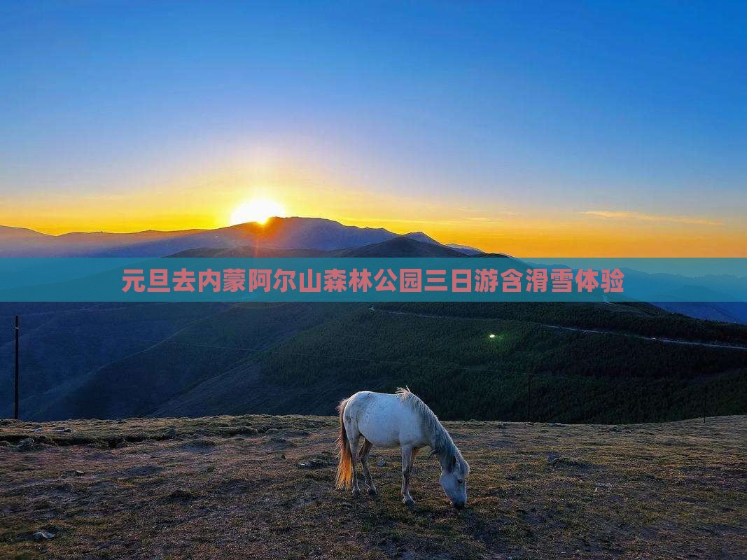 元旦去内蒙阿尔山森林公园三日游含滑雪体验