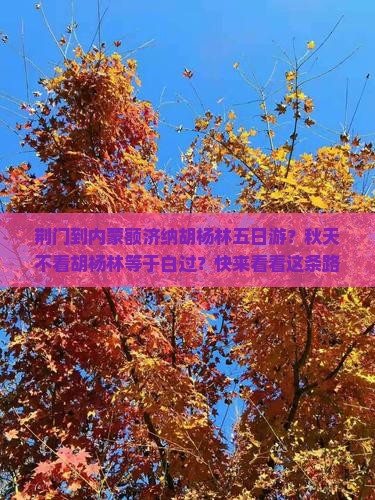 荆门到内蒙额济纳胡杨林五日游？秋天不看胡杨林等于白过？快来看看这条路稀