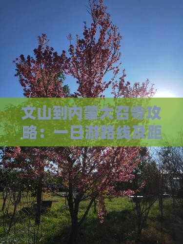 文山到内蒙大召寺攻略：一日游路线及距离