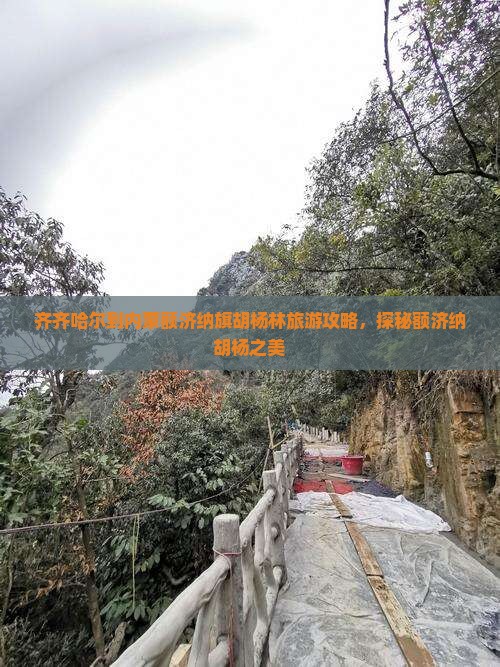齐齐哈尔到内蒙额济纳旗胡杨林旅游攻略，探秘额济纳胡杨之美