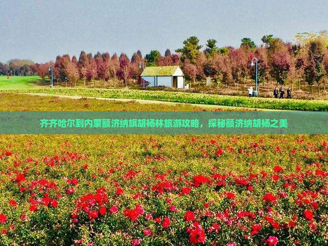 齐齐哈尔到内蒙额济纳旗胡杨林旅游攻略，探秘额济纳胡杨之美