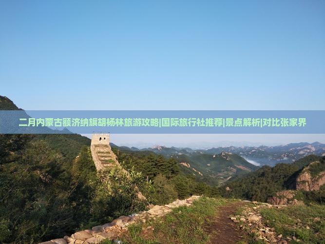 二月内蒙古额济纳旗胡杨林旅游攻略|国际旅行社推荐|景点解析|对比张家界