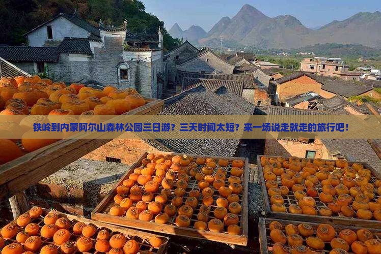 铁岭到内蒙阿尔山森林公园三日游？三天时间太短？来一场说走就走的旅行吧！