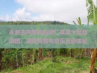 永新去内蒙希拉穆仁草原大型旅游团：草原风情与欢乐互动体验