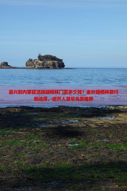 嘉兴到内蒙额济纳胡杨林门票多少钱？金秋胡杨林旅行新选择，避开人潮早鸟票推荐