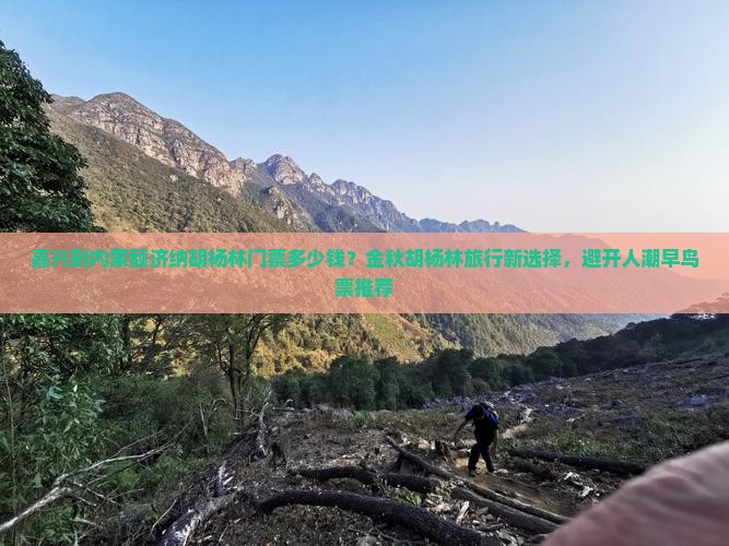 嘉兴到内蒙额济纳胡杨林门票多少钱？金秋胡杨林旅行新选择，避开人潮早鸟票推荐