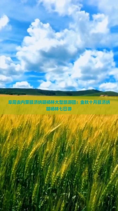 阜阳去内蒙额济纳胡杨林大型旅游团：金秋十月额济纳胡杨林七日游
