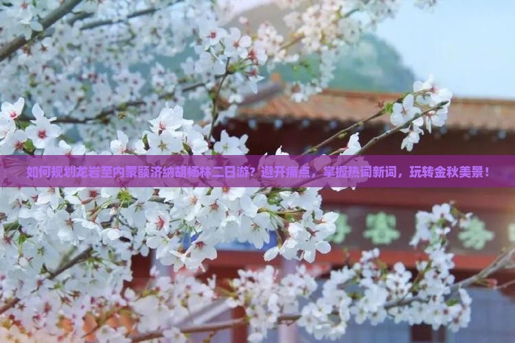 如何规划龙岩至内蒙额济纳胡杨林二日游？避开痛点，掌握热词新词，玩转金秋美景！