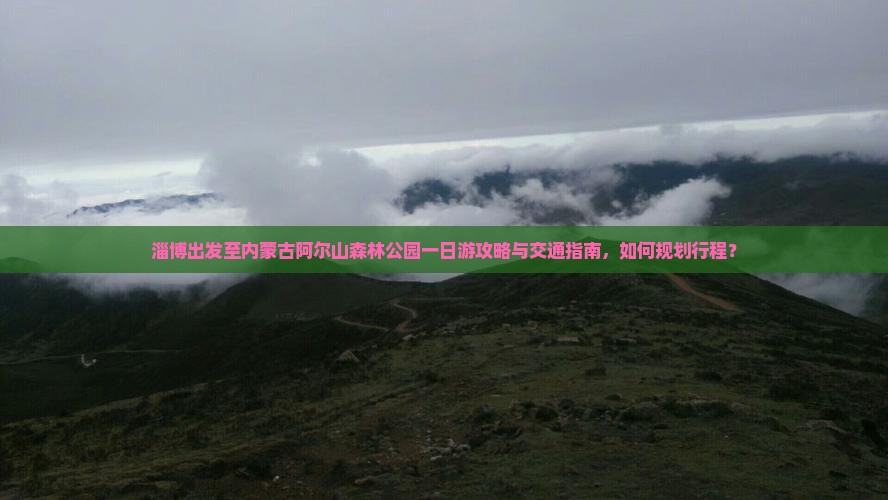 淄博出发至内蒙古阿尔山森林公园一日游攻略与交通指南，如何规划行程？