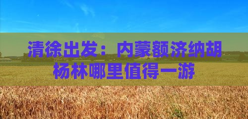 清徐出发：内蒙额济纳胡杨林哪里值得一游