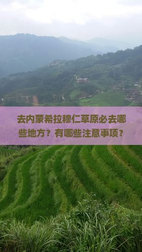 去内蒙希拉穆仁草原必去哪些地方？有哪些注意事项？