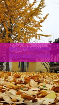 如何从无锡前往内蒙阿尔山森林公园游玩？求解最快路线与热门景点攻略！