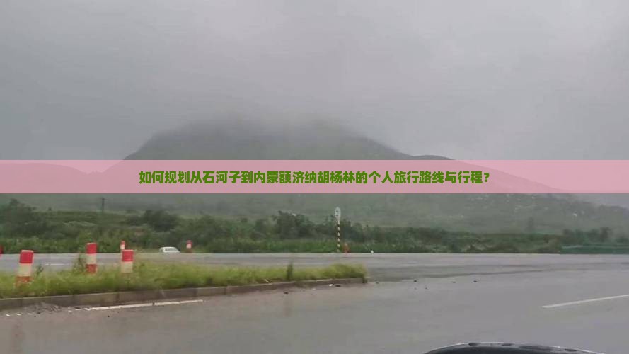 如何规划从石河子到内蒙额济纳胡杨林的个人旅行路线与行程？