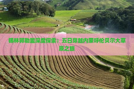 锡林郭勒盟深度探索：五日穿越内蒙呼伦贝尔大草原之旅