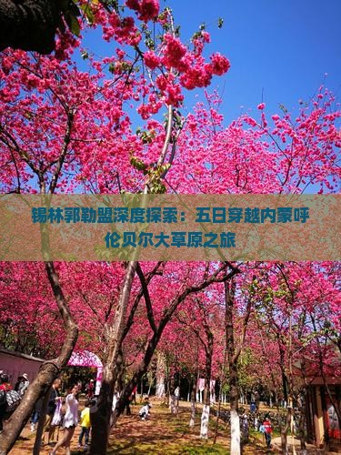 锡林郭勒盟深度探索：五日穿越内蒙呼伦贝尔大草原之旅