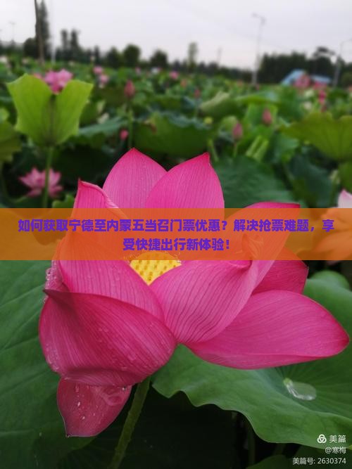 如何获取宁德至内蒙五当召门票优惠？解决抢票难题，享受快捷出行新体验！