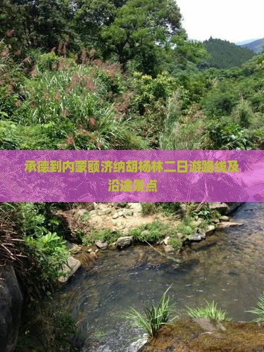承德到内蒙额济纳胡杨林二日游路线及沿途景点