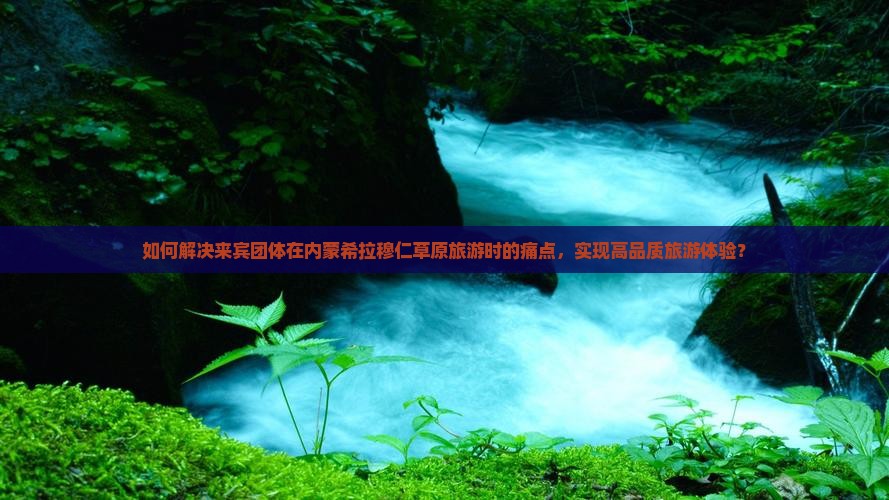 如何解决来宾团体在内蒙希拉穆仁草原旅游时的痛点，实现高品质旅游体验？