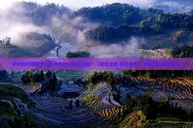 伊犁到内蒙阿尔山国家森林公园自由团