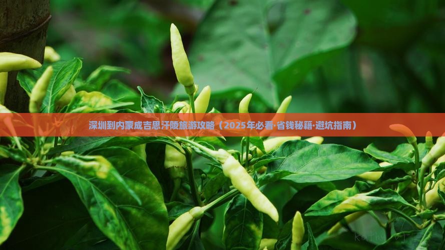 深圳到内蒙成吉思汗陵攻略