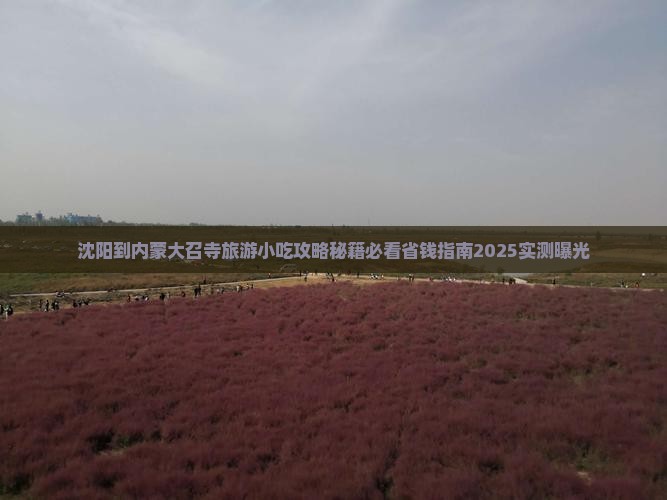 沈阳到内蒙大召寺旅游小吃
