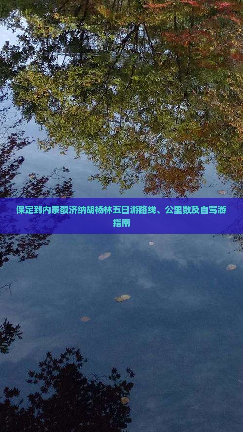 保定到内蒙额济纳胡杨林五日游