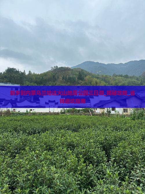 新乡到内蒙乌兰哈达火山地质公园三日游