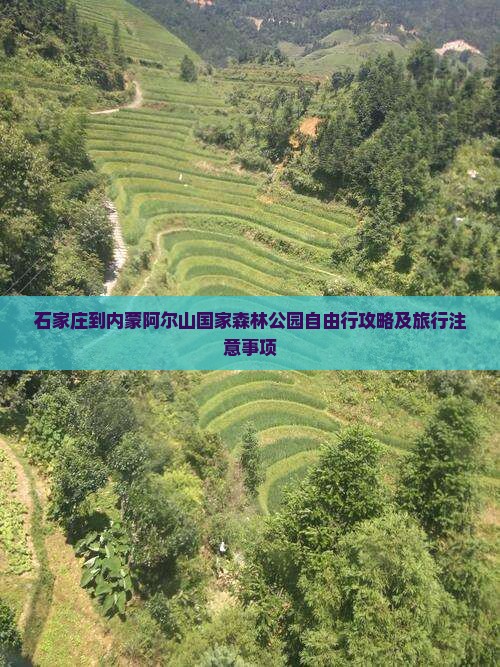 石家庄到内蒙阿尔山国家森林公园自由行