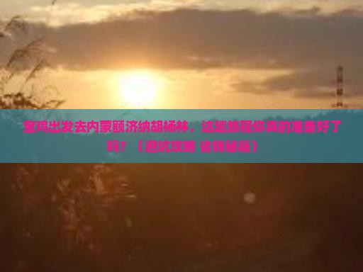 宝鸡去内蒙额济纳胡杨林旅行社