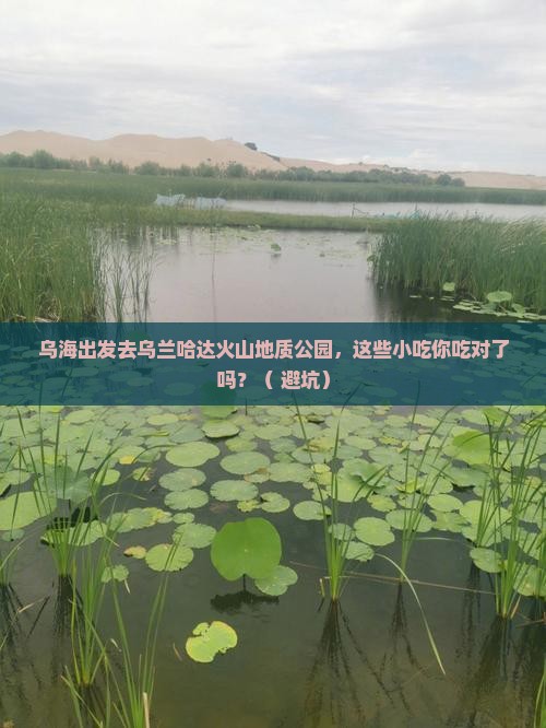 乌海去内蒙乌兰哈达火山地质公园旅游小吃