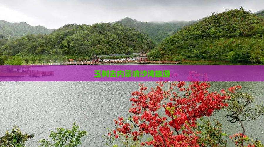 玉树去内蒙响沙湾旅游